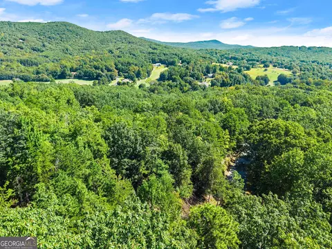 0 Raspberry Ln #1502, Clarkesville, GA 30523 photo 25