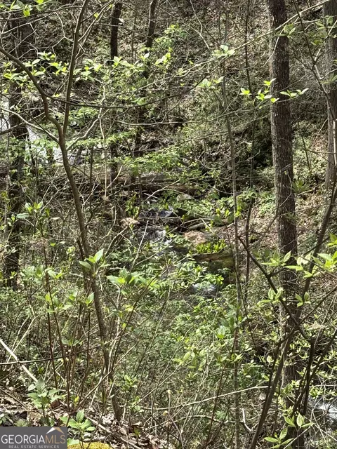 0 Laurel Br, Dawsonville, GA 30540