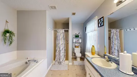 Bath - 157 Scarlett Ohara Dr, Ailey, GA 30410 photo 1 of 3