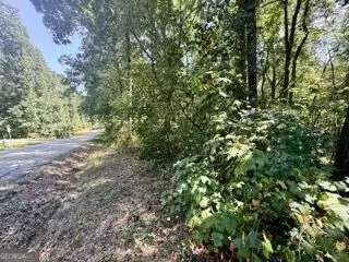 40 Crescent Dr, Toccoa, GA 30577 photo 4