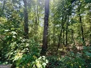 40 Crescent Dr, Toccoa, GA 30577 photo 5