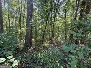 40 Crescent Dr, Toccoa, GA 30577 photo 2