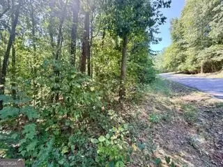40 Crescent Dr, Toccoa, GA 30577 photo 3