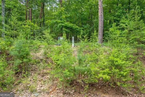307 Stonehaven Ct, Jasper, GA 30143 photo 11