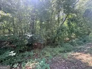 82 Crescent Dr, Toccoa, GA 30577 photo 3