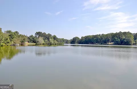 View/Area - 45 North Dr, Hampton, GA 30228 photo 3 of 6