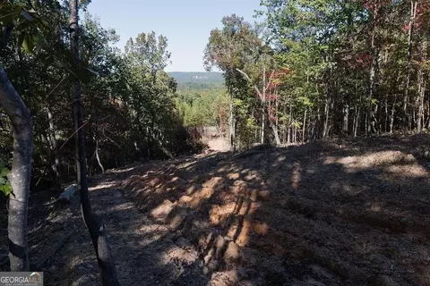 34 E Heritage Dr NE, Rydal, GA 30171 photo 4
