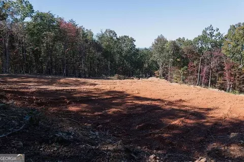 34 E Heritage Dr NE, Rydal, GA 30171 photo 23