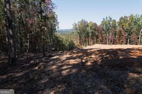 34 E Heritage Dr NE, Rydal, GA 30171 photo 5