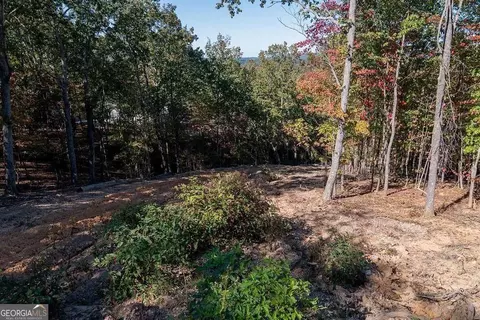 34 E Heritage Dr NE, Rydal, GA 30171 photo 27