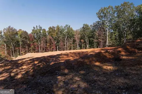 34 E Heritage Dr NE, Rydal, GA 30171 photo 22