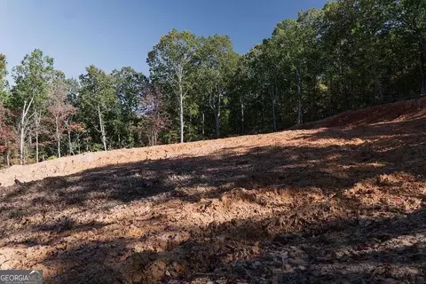 34 E Heritage Dr NE, Rydal, GA 30171 photo 28