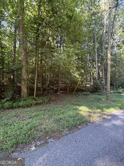 0 Chateau Dr, Lavonia, GA 30553