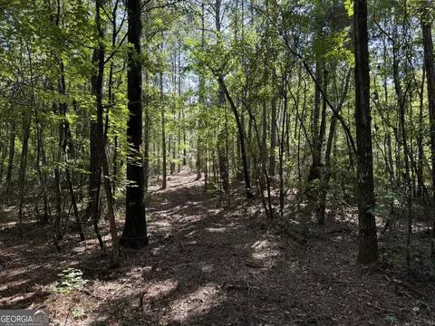 0 Pig Rd, Bartow, GA 30413 photo 28