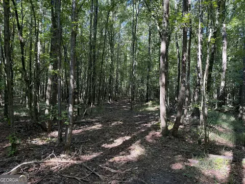 0 Pig Rd, Bartow, GA 30413 photo 13