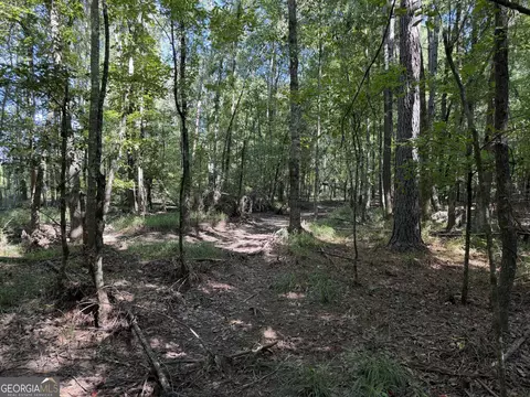 0 Pig Rd, Bartow, GA 30413 photo 17