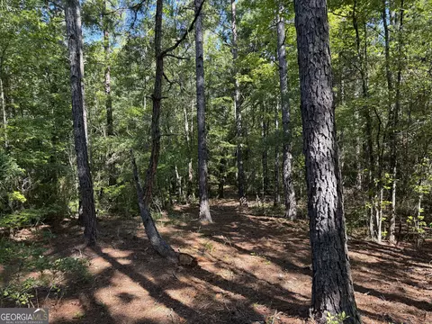 0 Pig Rd, Bartow, GA 30413 photo 35