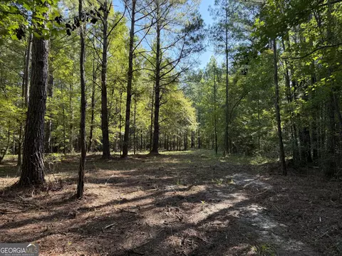 0 Pig Rd, Bartow, GA 30413 photo 9