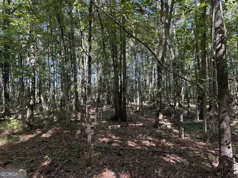 0 Pig Rd, Bartow, GA 30413 photo 23