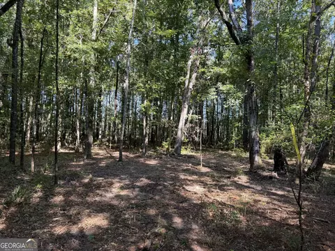 0 Pig Rd, Bartow, GA 30413 photo 27
