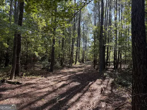 0 Pig Rd, Bartow, GA 30413 photo 7