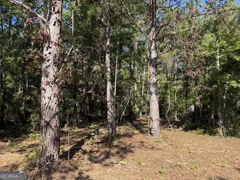0 Pig Rd, Bartow, GA 30413 photo 2