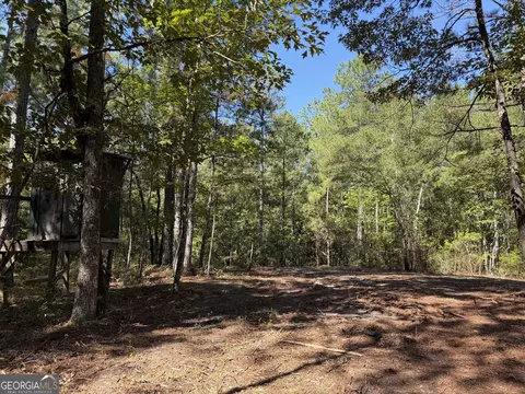 0 Pig Rd, Bartow, GA 30413 photo 37