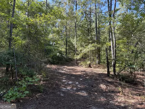 0 Pig Rd, Bartow, GA 30413 photo 32