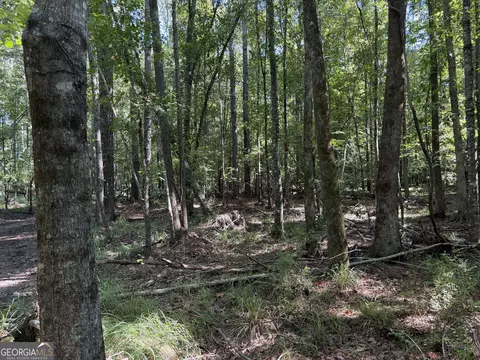 0 Pig Rd, Bartow, GA 30413 photo 20