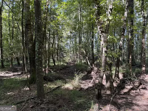 0 Pig Rd, Bartow, GA 30413 photo 18