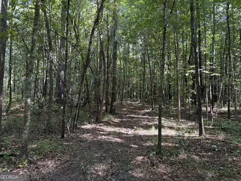 0 Pig Rd, Bartow, GA 30413 photo 21