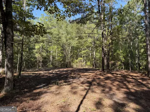 0 Pig Rd, Bartow, GA 30413 photo 38