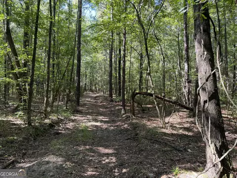 0 Pig Rd, Bartow, GA 30413 photo 42