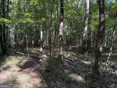0 Pig Rd, Bartow, GA 30413 photo 15