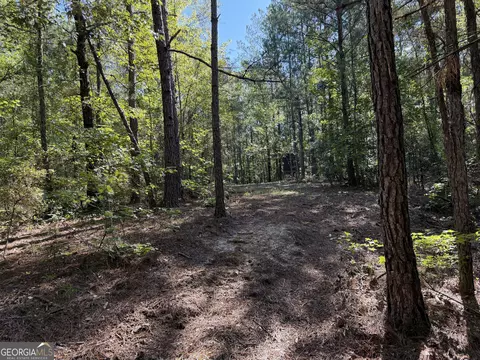 0 Pig Rd, Bartow, GA 30413 photo 30