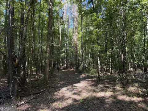 0 Pig Rd, Bartow, GA 30413 photo 12