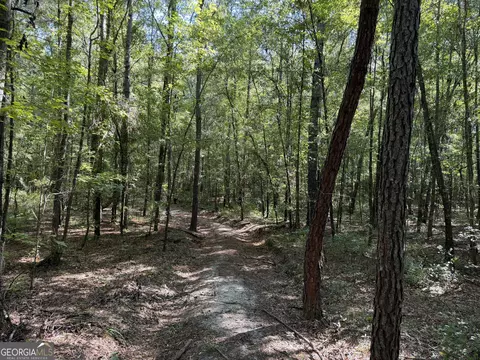 0 Pig Rd, Bartow, GA 30413 photo 40