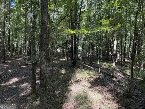 0 Pig Rd, Bartow, GA 30413 photo 14