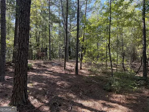 0 Pig Rd, Bartow, GA 30413 photo 36