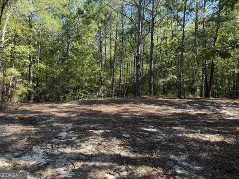 0 Pig Rd, Bartow, GA 30413 photo 33