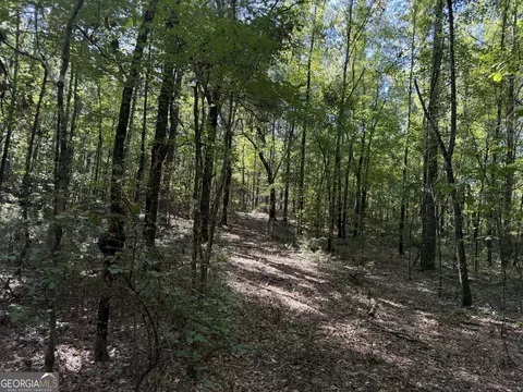 0 Pig Rd, Bartow, GA 30413 photo 22