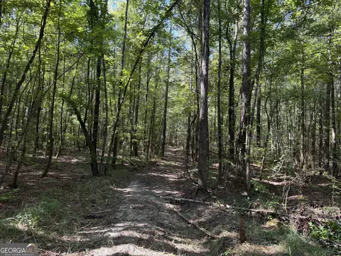 0 Pig Rd, Bartow, GA 30413 photo 43