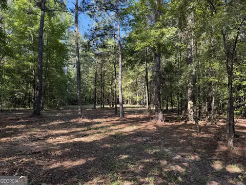 0 Pig Rd, Bartow, GA 30413 photo 6