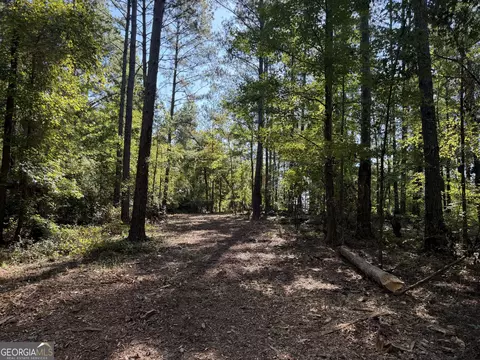 0 Pig Rd, Bartow, GA 30413 photo 4