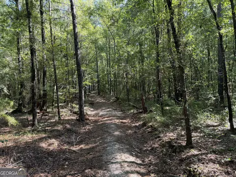 0 Pig Rd, Bartow, GA 30413 photo 41