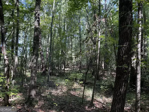 0 Pig Rd, Bartow, GA 30413 photo 16