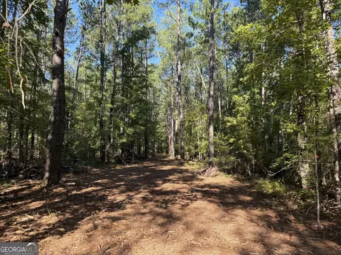 0 Pig Rd, Bartow, GA 30413 photo 3