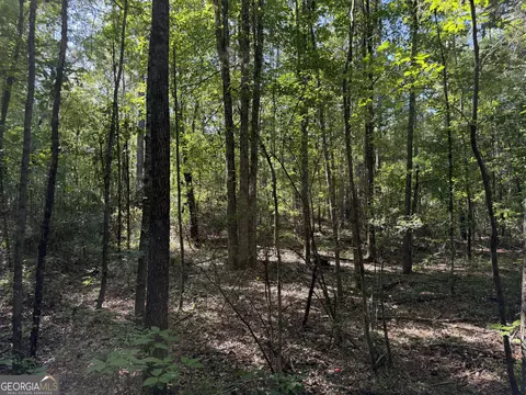 0 Pig Rd, Bartow, GA 30413 photo 24