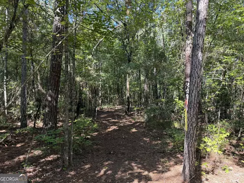 0 Pig Rd, Bartow, GA 30413 photo 29