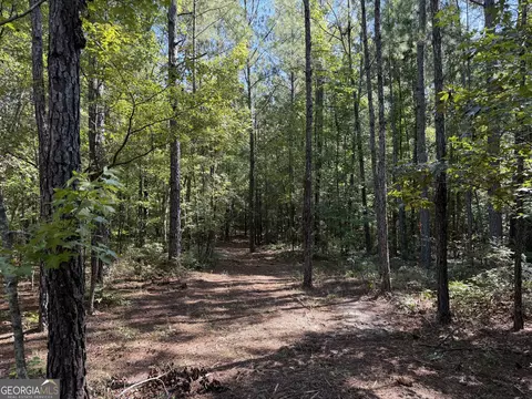 0 Pig Rd, Bartow, GA 30413 photo 39